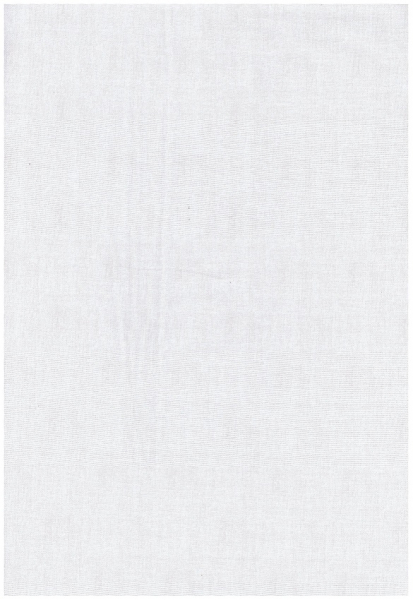 Linen Texture white on white